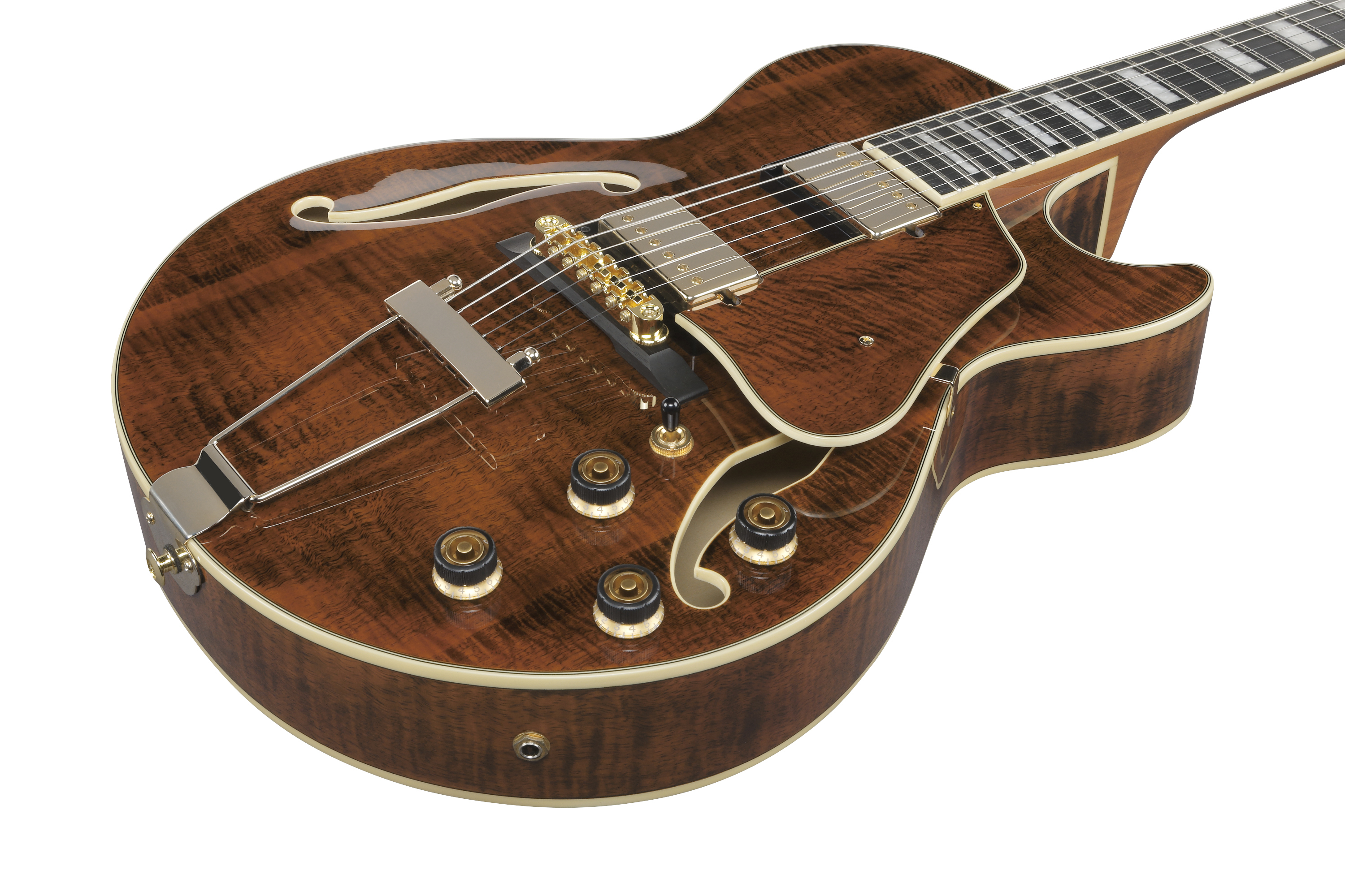 AG95MG-DA Artcore Hollowbody  